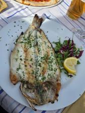 WhatsApp Image 2025-11-27 at 11.59.51 (2).jpeg