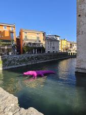 WhatsApp Image 2025-11-27 at 11.59.52 (3).jpeg