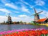 season-2027-holandsko-windmills.jpg